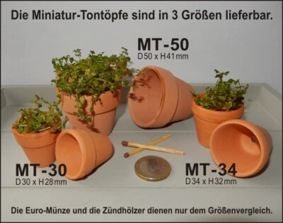 5 Mini Terrakotta Tontöpfe Ø 34mm ✅ Blumentopf/Keramiktopf in 3 Größen lieferbar - Bild 1 von 4
