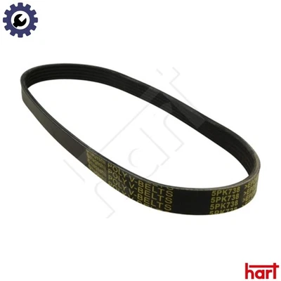 VRIBBED BELT 368 893 FOR PEUGEOT FERRARI 348/Spider/ts/GTS/tb/GTB  LAND ROVER - Image 1 of 4