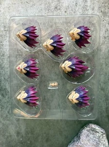 custom dragonball  shf  ultra ego destroy god vegeta head  need 30days - Picture 1 of 1