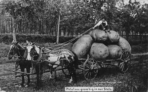 RPPC ~ Exaggerated Wagon of Potatoes Hitched to Horses, by W.H. Martin - 1911 - Picture 1 of 2