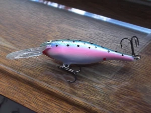 Custom Painted Rapala Shad Rap SR-9 Stocker Trout - Picture 1 of 8