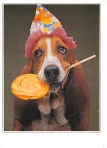 POSTAL DE PERRO SIN USAR BUENA BUENA PLUS - Imagen 1 de 2