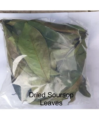 Hojas de guanábana, hoja de guanábana - 1,8 oz - Hojas de graviola orgánicas naturales para té Foto 1 de 2
