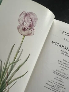 Flora of Iraq Vol 8 - Monocotyledones 1985 - Rare Book, Beautiful Illustrations. - Picture 1 of 11