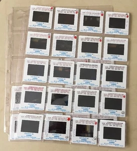 Vtg Lot Cave Treasure Water Dive Diving 35mm Slides Tresor Sur galion ESP Neg - Picture 1 of 11