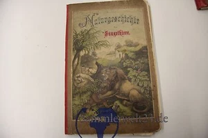 Naturgeschichte der Säugetiere Teil 1 J.F. Schreiber 1880 - Bild 1 von 12