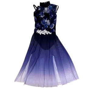 Dance Dress Floral Applique Ombre Chiffon Skirt Costume Kids Sz 1C - Picture 1 of 10
