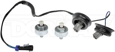 Kit de sensor de golpe de encendido (detonación) Dorman para GMC Sierra 1500 2000 1999-2006 Foto 1 de 4