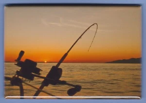 FISHING *2X3 FRIDGE MAGNET* FISH OUTDOORS SPORTS ANGLER BOAT SHORE TROUT BASS - Picture 1 of 2