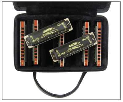 EASTTOP Diatonic Harmonica Set 10 Hole Harp Diatonic Mouth Organ Harmonica Lot - Image 1 of 4