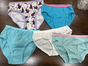 Girls Size 4 Underwear Lot Frozen Hanes NWOT - Picture 1 of 3