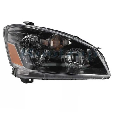For 05-06 Altima Front HID Xenon Headlight Headlamp w/o Bulb/Ballast Right Side — 第 1/4 张图片