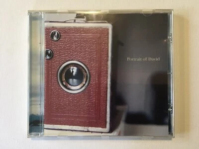 Portrait of David These Days Are Hard to Ignore Like Brave Timbers Tundra Lights Foto 1 de 3