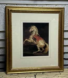 Napoleon's White Stallion Horse Tamerlan Gold Framed Art Print Home Wall Decor - Picture 1 of 7
