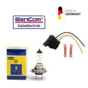 Lampenfassung für H7 Halogen + Leuchtmittel für Fiat 500 500C Abarth 595 695 595 - Picture 1 of 7