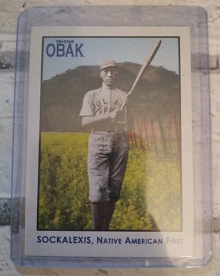 2010 Tristar Obak LOUIS SOCKALEXIS  - Image 1 of 4