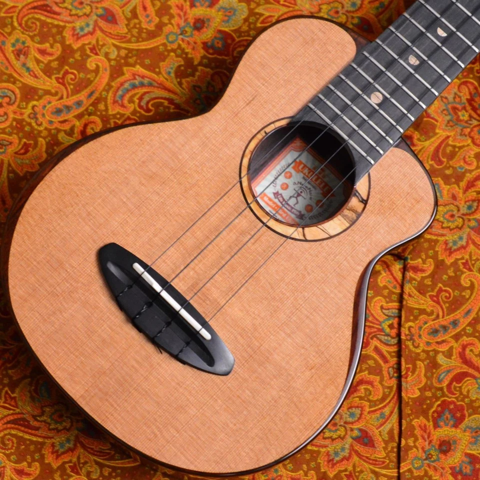NEW aNueNue aNN-US214 Soprano Ukulele Uke Instrument from Japan - Image 1 of 4