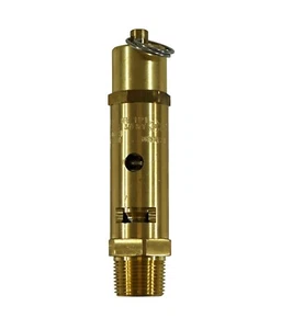 Válvula de alivio de presión de asiento duro de latón Kingston 3/4"" NPT 290 PSI / 1225 SCFM - Imagen 1 de 5