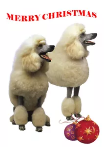 POODLE TWO WHITE POODLES SINGLE DOG PRINT GREETING CHRISTMAS CARD - Foto 1 di 1
