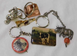 Cow Collectable LOT COWS Keychains Cow Pin Cow Tie Clasp - Picture 1 of 9