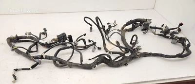 Ford F250 F350 2008 5,4 V8 tablero automático arnés de cableado 8C3T-14401-AKC Foto 1 de 4