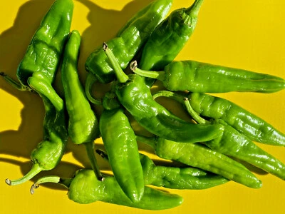 SEMI DI PEPERONE FRIGGITELLO, "friariello Napoletano" - Immagine 1 di 3