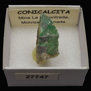 CONICALCITA (Mina La Encontrada, Molvizar, Granada) #27747 / Conichalcite - Foto 1 di 1