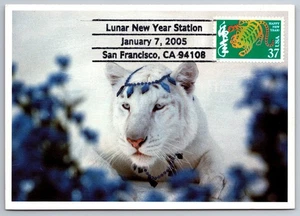 3895c Chinese Lunar New Year Tiger Maxi Card w/pictorial Cancel - Picture 1 of 2