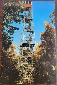 Fire Tower on Highway 36 at Cook Forest State Park Pennsylvania PA Postcard - Picture 1 of 2