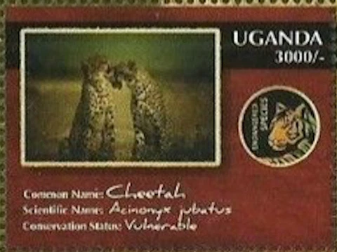 Uganda #SG2610b MNH 2012 Acinonyx jubatus [1952b Mi2821] Cover