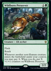 MTG Wildborn Preserver Throne of Eldraine RARE Magic the Gathering NM/M - Picture 1 of 1