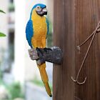 Resin Garden Parrot Statue Vivi-d Lifelike Outdoor Yard Macaws Decor NEW