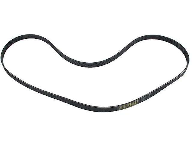 Accesorio correa de transmisión para Jeep Grand Cherokee 1999-2004 4,0 L 6 cilindros 2002 NQ621BQ Foto 1 de 1