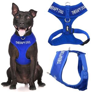 THERAPY DOG Blue Non Pull Waterproof Padded Pet Vest Harness Front Back Ring New