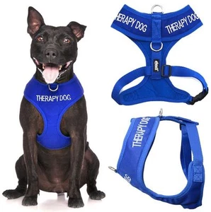 THERAPY DOG Blue Non Pull Waterproof Padded Pet Vest Harness Front Back Ring New - Picture 1 of 13