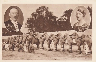 AK "Krone" - Der größte Circus Europas - Elefantennummer und Direktorenpaar - Bild 1 von 2
