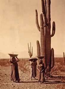 Vintage EDWARD CURTIS American Indian Women Giant Cacti GOLDTONE Photo Engraving - Picture 1 of 1