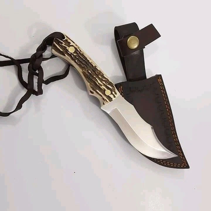 Cuchillo de hoja fija vintage con mango de ciervo | Lote de cuchillos | Regalo de Navidad | Exterior EE. UU. Foto 1 de 1