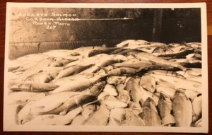 Foto Sockeye Salmon Cordova Alaska RPPC AZO Roark Seward 1931 - Imagen 1 de 2