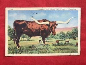 1942 Texas Long Horn Steer TX-6 Postcard - Picture 1 of 2