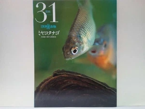 Japans Naturdenkmal 31 Miyakotanago aus Japan - Bild 1 von 8