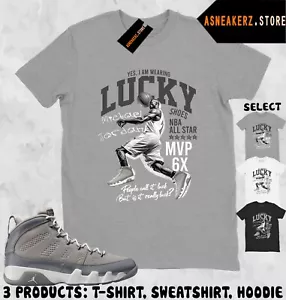 Shirt To Match AJ 9 Cool Grey Sneaker Matching Tee Lucky MJ 23 T-Shirt - Picture 1 of 3