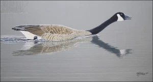 FRASE ORIGINAL BIRD PAINTING CANADA GOOSE ART REALISM DNR Duck Stamp DU Artist - Picture 1 of 1