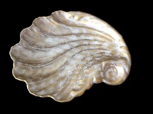 Plato de baratija de cerámica con diseño de concha marina 9" - Imagen 1 de 7