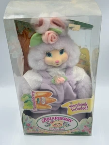 Hannahberry FisherPrice Briarberry Bear Bunny in Original Factory Box w/Book NEW - Picture 1 of 10