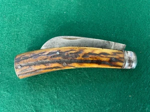 Antique W SAYNOR Ltd Sheffield Pruning Pocket Knife 1861-1890 Hawkbill Stag - Picture 1 of 10