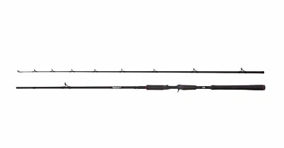 Abu Garcia NEW Beast Pike Predator Casting / Lure Fishing Rod - Trigger Grip