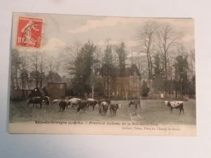 CPA 35 Bain-de-Bretagne - Prairie et Château - Imagen 1 de 2