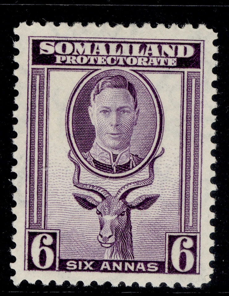 SOMALILAND PROTECTORATE GVI SG110, 6a violet, M MINT. - Image 1 of 1
