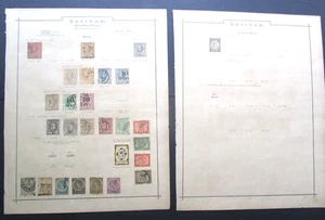 Lote Surinam de Álbum Universal de 1891 - Imagen 1 de 9